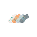 Tropical Palm Mix