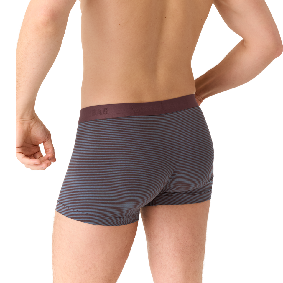 Men's Cotton Modal Blend Trunk - All Spice / Pebble Micro Stripe MO2 [8472]