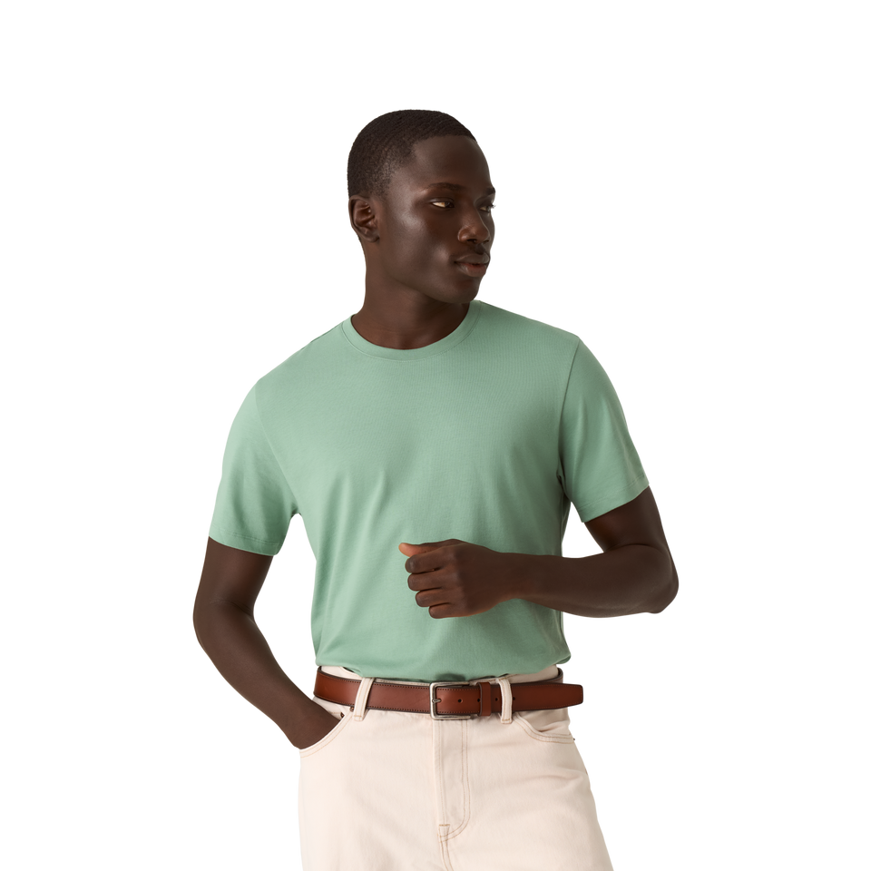 Men's Pima Cotton Crew Neck T-Shirt - easy sage MO1 [8525]